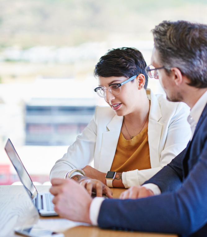 ERP consultant