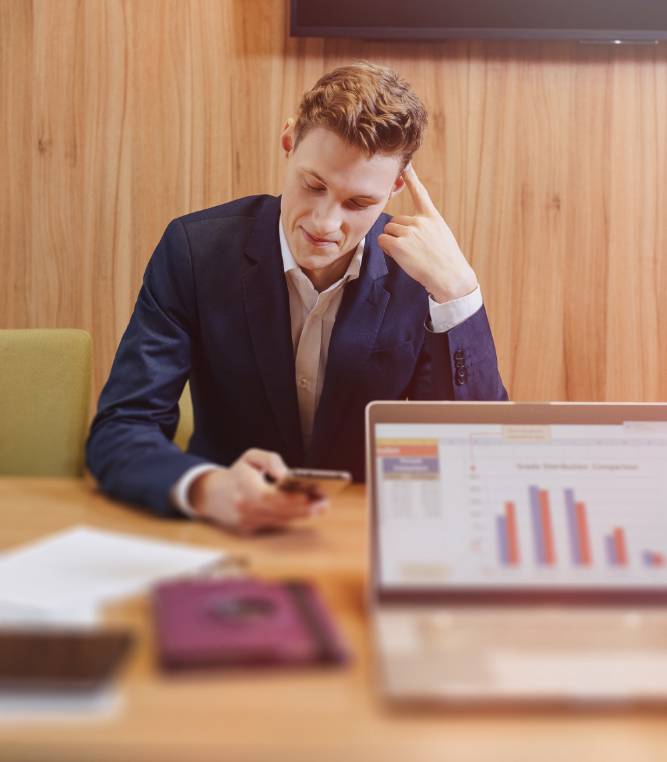 ERP consultant